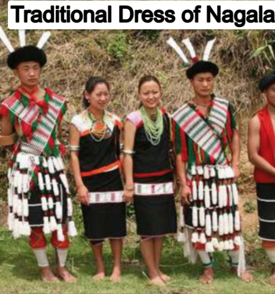 Traditional Dress of Nagaland