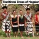 Traditional Dress of Nagaland