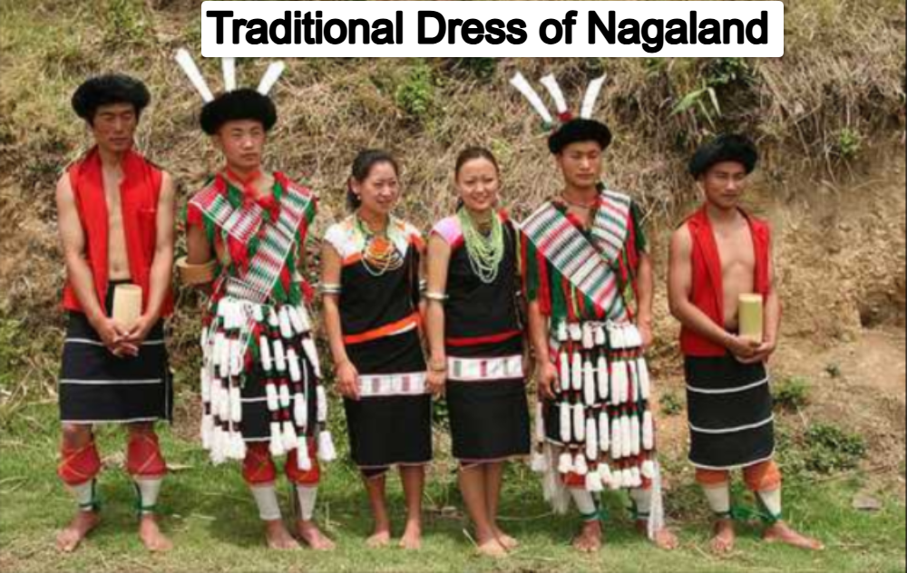Traditional Dress of Nagaland
