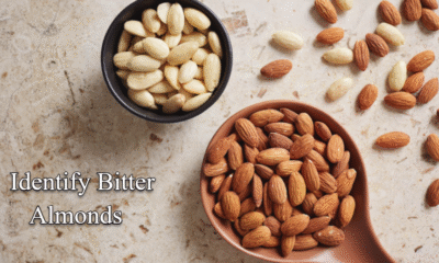 Identify Bitter Almonds